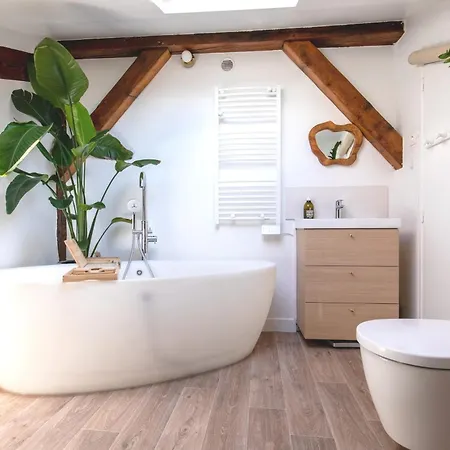 Luxury Floor Duplex Near Le Marais Apartment *